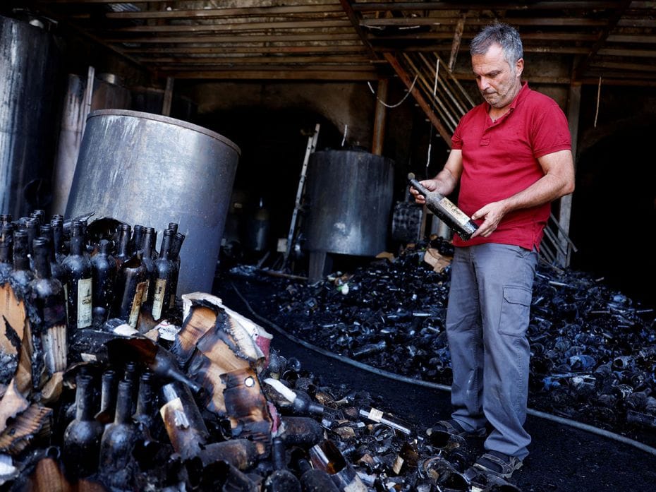 Castro y Magan winery's owner Constancio Ballesteros looks at the devastation caused by a forest fir