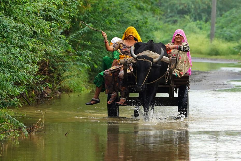 Women ride on a bullock cart along a waterlogged road following rainfall on the outskirts of Ajmer, 