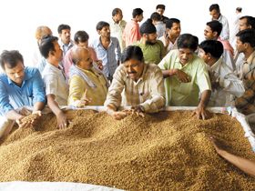 Tech Savvy Markets get farmers on Board