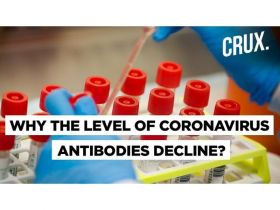 Coronavirus twice