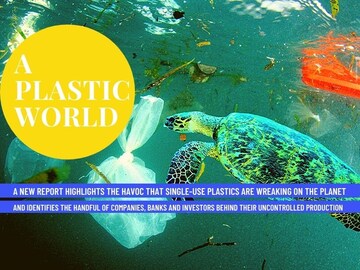 Single-use plastics: A look at the key polymer manufactures and financiers